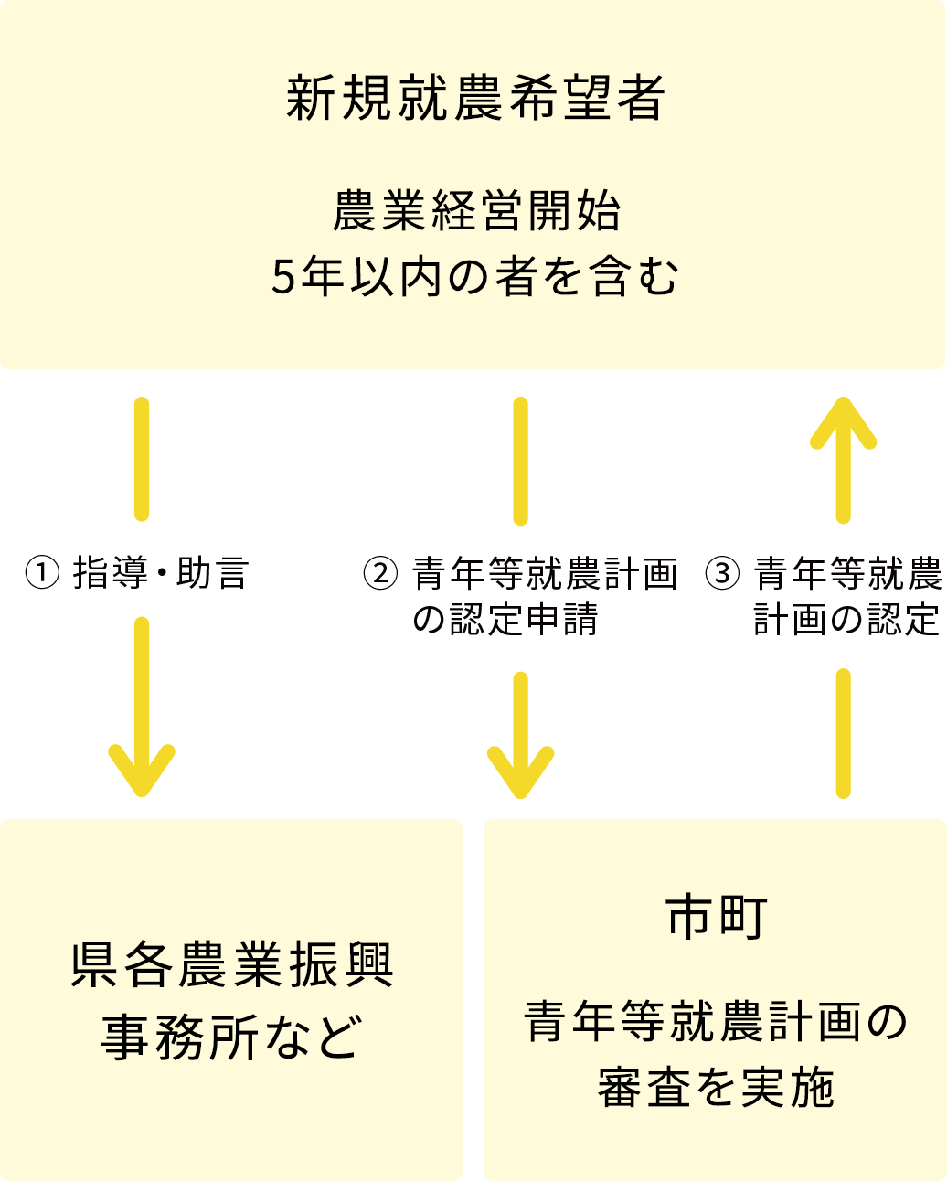 認定までの流れ