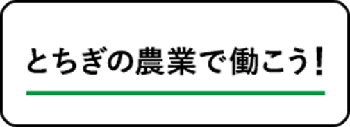 とちぎの農業で働こう!